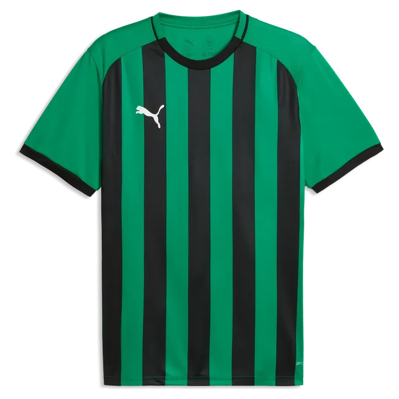 Maillot PUMA teamLIGA26 Striped Jersey | CLUB-SHOP.fr