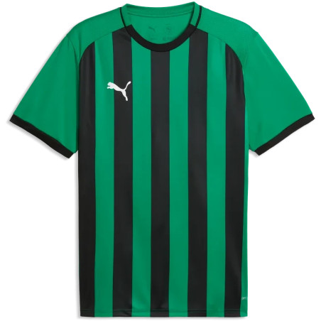 Maillot PUMA teamLIGA26 Striped Jersey | CLUB-SHOP.fr