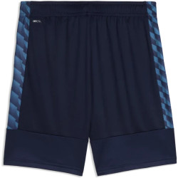 Short PUMA teamLIGA26 Training dryCELL | CLUB-SHOP.fr 2