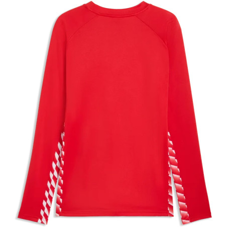 Sweat PUMA teamLIGA26 Training dryCELL | CLUB-SHOP.fr