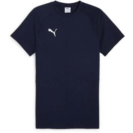 Tee-Shirt PUMA teamEVOSTRIPE dryCELL | CLUB-SHOP.fr