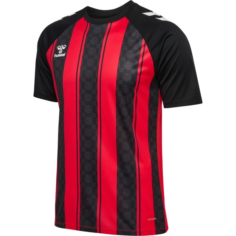 Maillot hummel MATCH STRIPED JERSEY S/S | CLUB-SHOP.fr