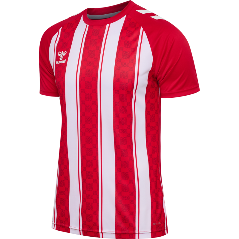 Maillot hummel MATCH STRIPED JERSEY S/S | CLUB-SHOP.fr