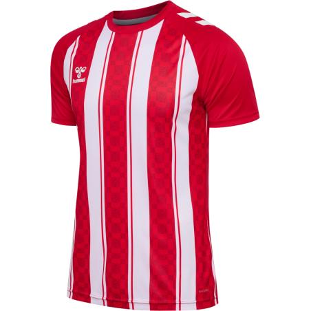 Maillot hummel MATCH STRIPED JERSEY S/S | CLUB-SHOP.fr