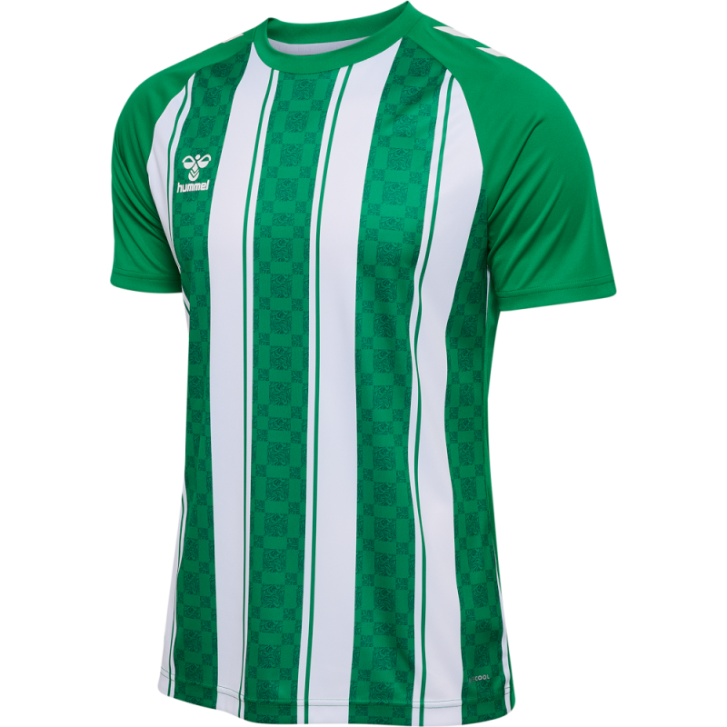 Maillot hummel MATCH STRIPED JERSEY S/S | CLUB-SHOP.fr
