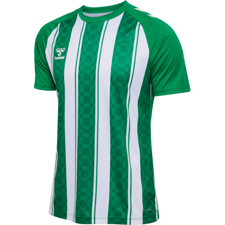 Maillot hummel MATCH STRIPED JERSEY S/S | CLUB-SHOP.fr