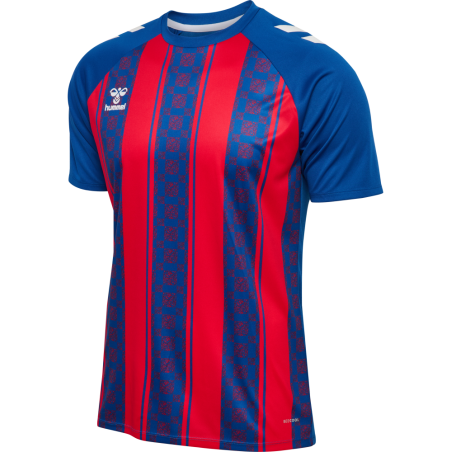 Maillot hummel MATCH STRIPED JERSEY S/S | CLUB-SHOP.fr