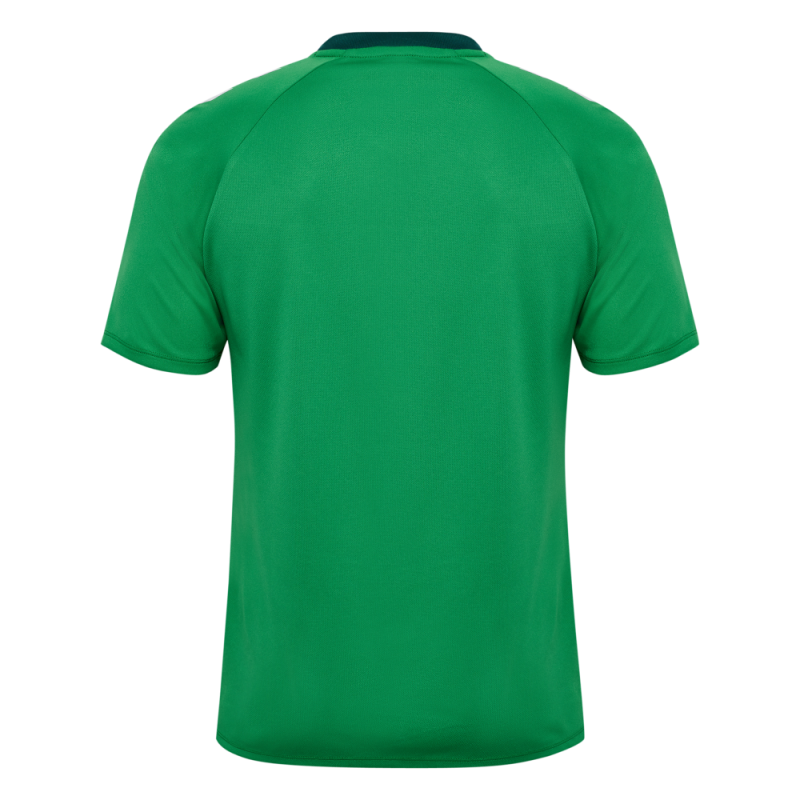 Maillot hummel MATCH TRIUMPH JERSEY S/S | CLUB-SHOP.fr