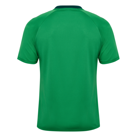 Maillot hummel MATCH TRIUMPH JERSEY S/S | CLUB-SHOP.fr