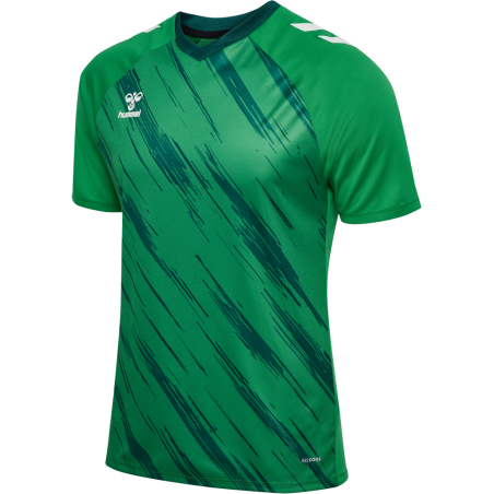 Maillot hummel MATCH TRIUMPH JERSEY S/S | CLUB-SHOP.fr