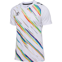 Maillot hummel MATCH TRIUMPH JERSEY S/S | CLUB-SHOP.fr