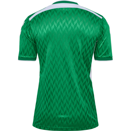 Maillot hummel MATCH LEGEND JERSEY S/S | CLUB-SHOP.fr