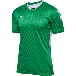 Maillot hummel MATCH LEGEND JERSEY S/S | CLUB-SHOP.fr