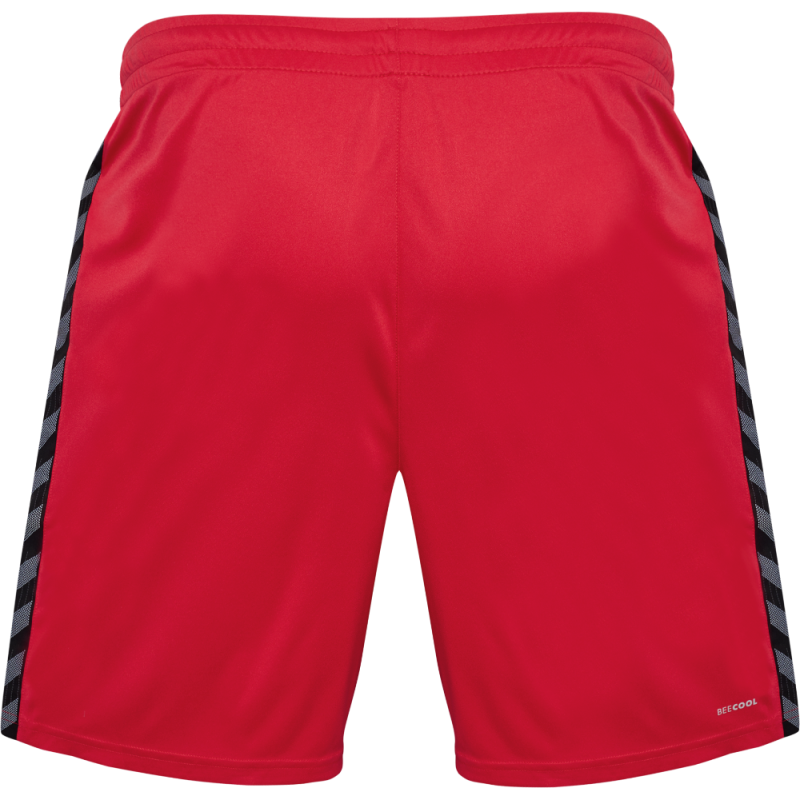 Short hummel AUTHENTIC PL training clubs | CLUB-SHOP.fr