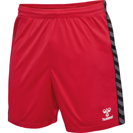 Short hummel AUTHENTIC PL training clubs | CLUB-SHOP.fr