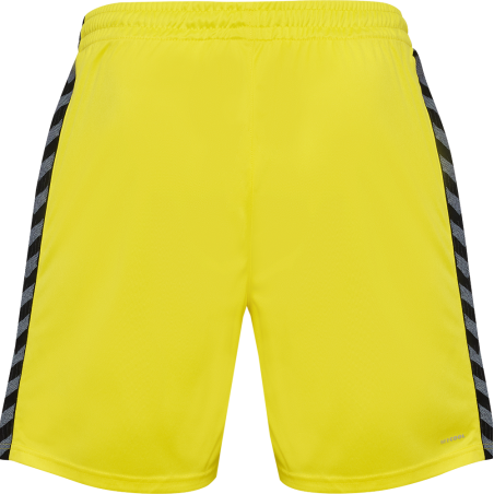 Short hummel AUTHENTIC PL training clubs | CLUB-SHOP.fr