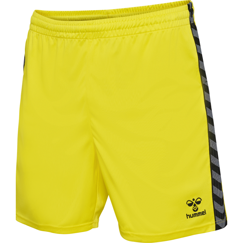 Short hummel AUTHENTIC PL training clubs | CLUB-SHOP.fr