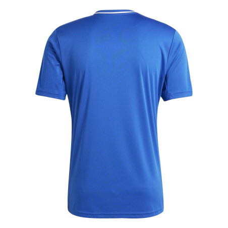 Maillot Adidas Campeon 25 football match | CLUB-SHOP.fr