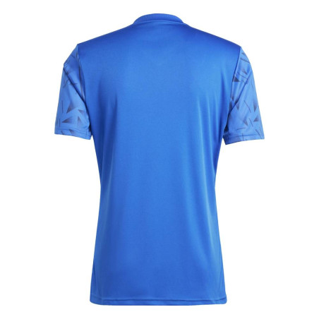 Maillot Adidas Team Icon 25 rétro club | CLUB-SHOP.fr