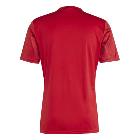 Maillot Adidas Team Icon 25 rétro club | CLUB-SHOP.fr