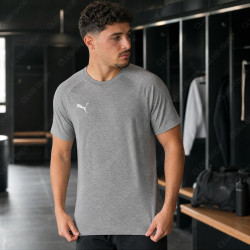 Tee-Shirt PUMA teamEVOSTRIPE dryCELL | CLUB-SHOP.fr
