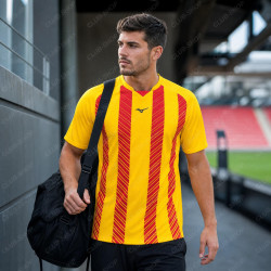 Maillot Sport Homme Mizuno SHIMIZU Sublimé | CLUB-SHOP.fr
