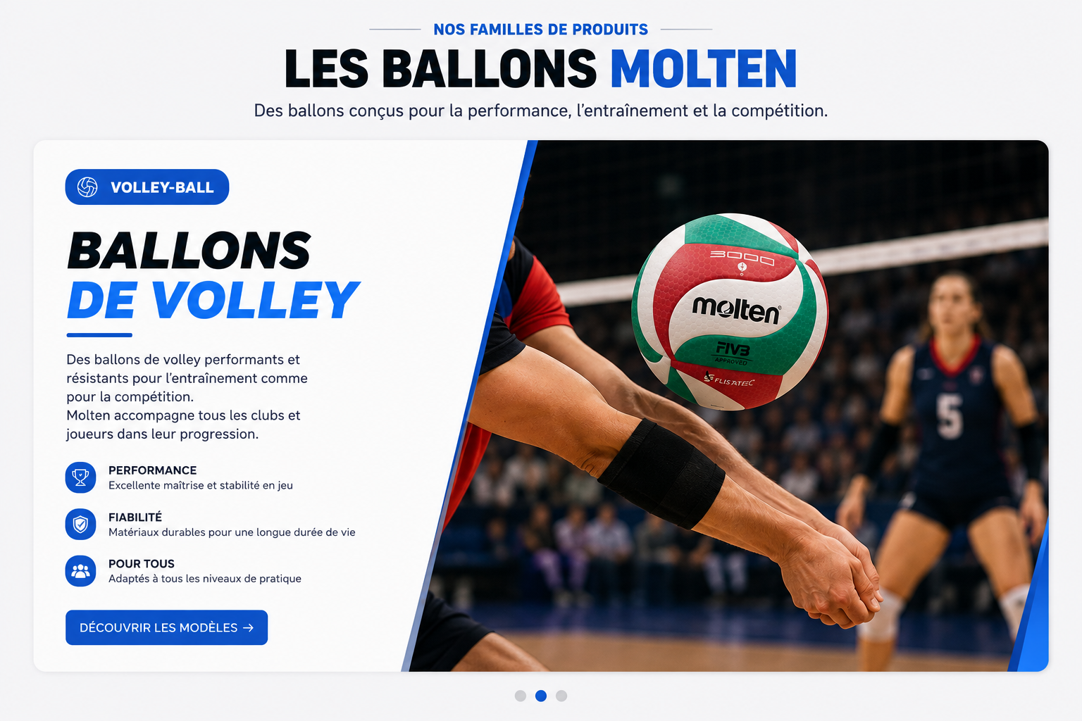Ballons de volley Molten