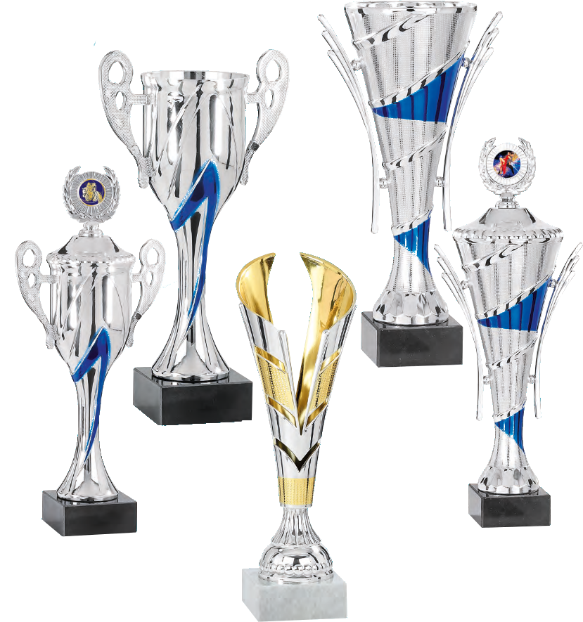 20 idées de Coupe trophéee  coupe trophée, médailles sportives,  récompenses sportives